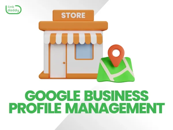 Google Business Profile Management service