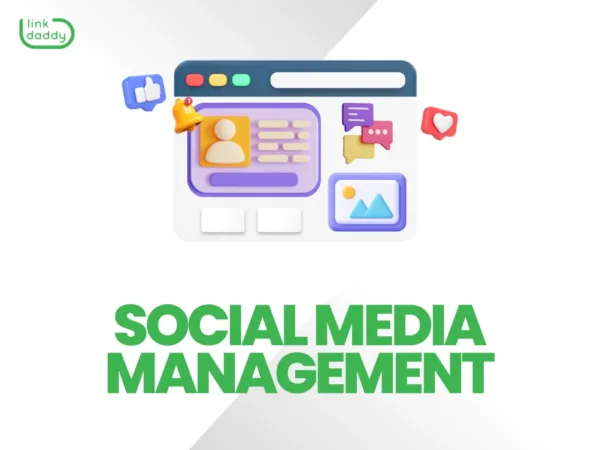 Social Media Management service